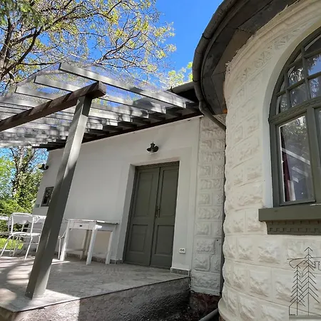 100 Eves Haz * Balatonakarattya