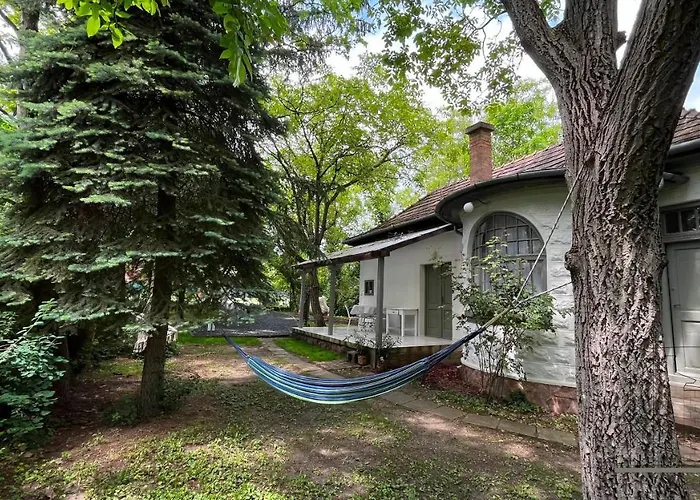 100 Eves Haz * בלטונקראטיה